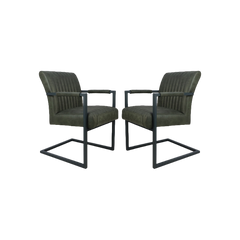 HSM Collection-Eetkamerstoel Texas Met Arm S/2-55x50x85-Groen/Grijs-Leder/Metaal