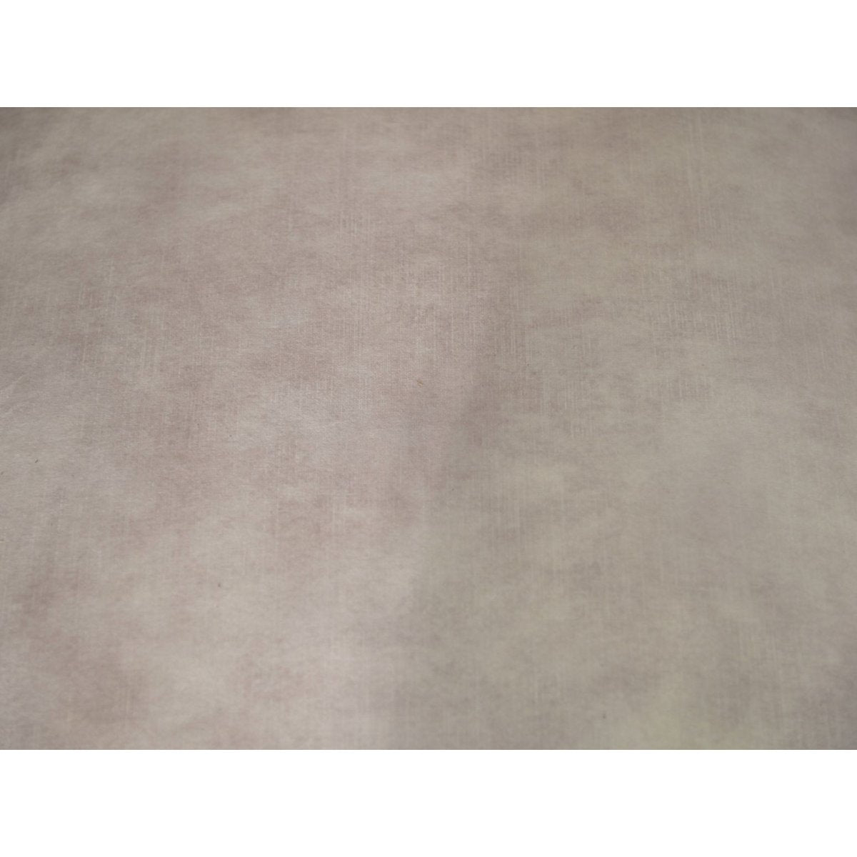 Eetkamerstoel Boston - Set van 2 - 56x68x89 - Adore 01 Naturel - Fluweel/metaal