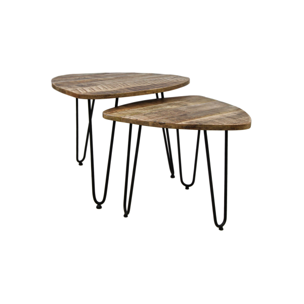 2 Delige salontafelset Dexter - ø60 cm - mangohout/ijzer