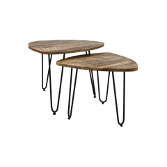 2 Delige salontafelset Dexter - ø60 cm - mangohout/ijzer