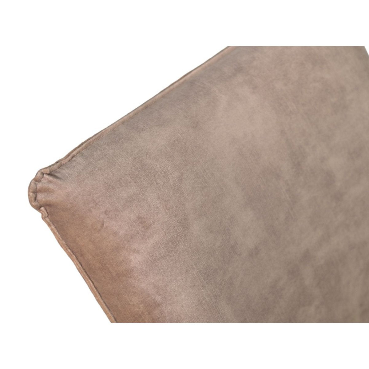 Eetkamerstoel Boston S/2 - 56x68x89 - Adore 10 Lever - Velvet/metaal