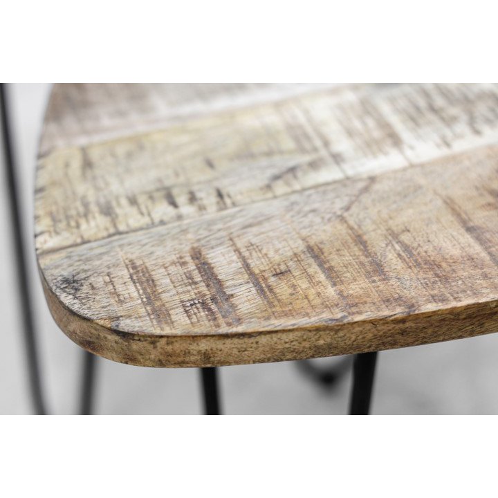 2 Delige salontafelset Dexter - ø60 cm - mangohout/ijzer