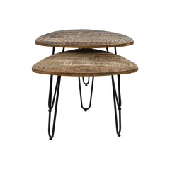 2 Delige salontafelset Dexter - ø60 cm - mangohout/ijzer