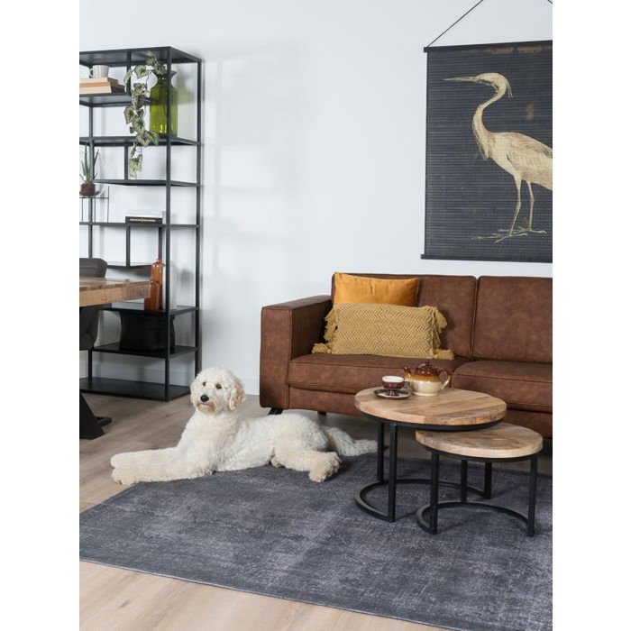 Salontafel Vlojo  -  Set van 2