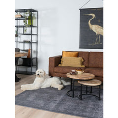 Salontafel Vlojo  -  Set van 2