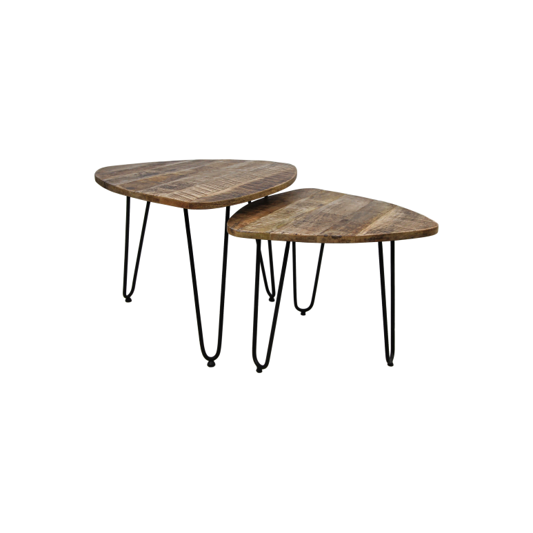 2 Delige salontafelset Dexter - ø60 cm - mangohout/ijzer
