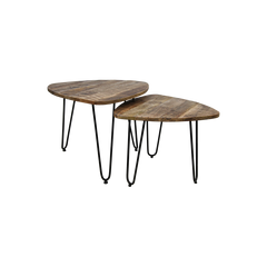 2 Delige salontafelset Dexter - ø60 cm - mangohout/ijzer